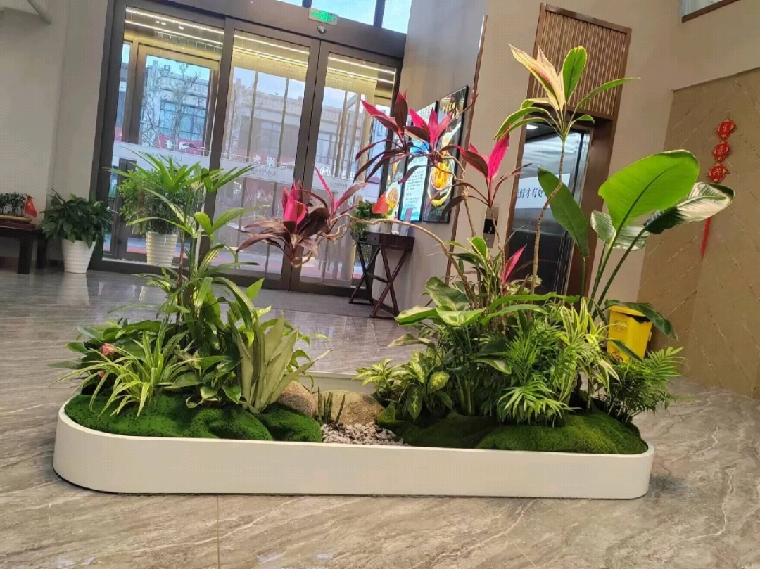 室內綠植景觀